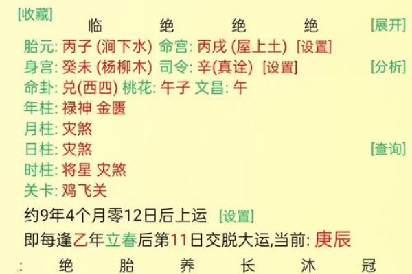 八字四柱乙亥好不好