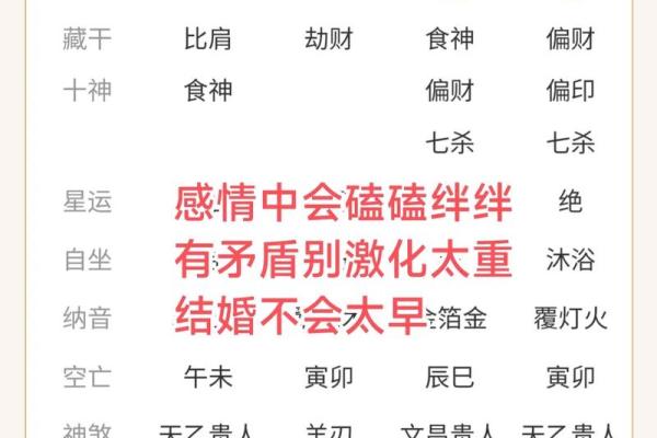 紫薇斗数八字算命软件