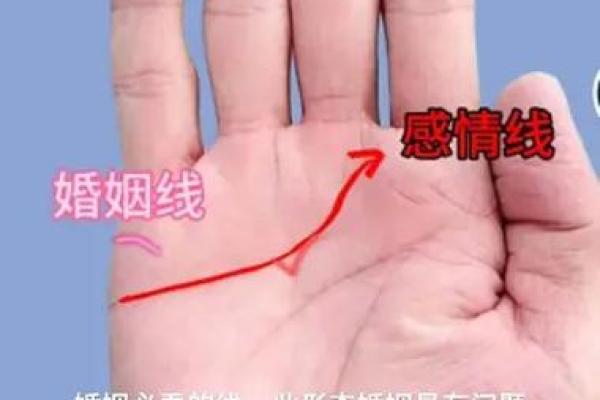 女人的手相看婚姻凶吉算命