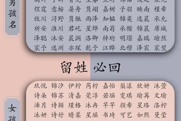 晚上9点出生的属蛇男孩该如何起名，适合用什么字姓名