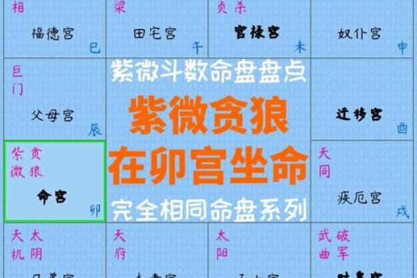 紫薇斗数四马宫