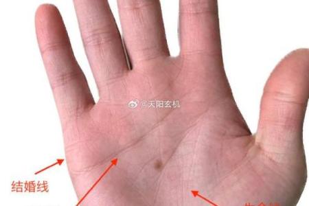 女人的手相看婚姻凶吉算命
