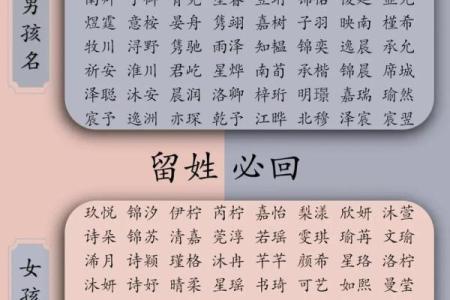 晚上9点出生的属蛇男孩该如何起名，适合用什么字姓名