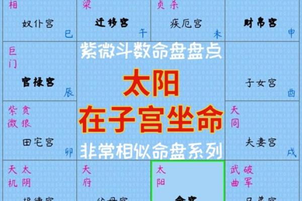 紫薇斗数太阴禄存
