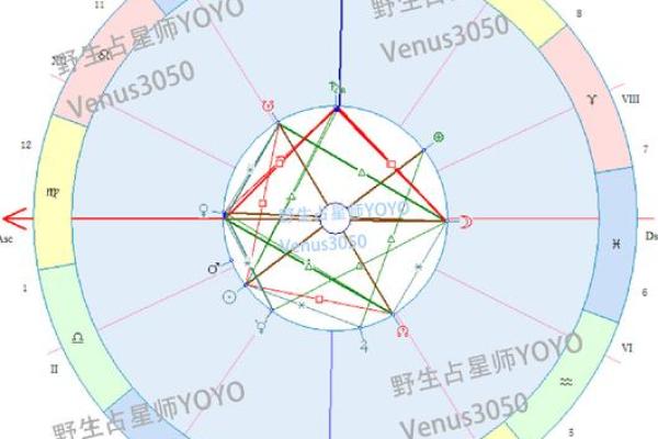 星座宫盘查询工具-详细解析你的生命盘