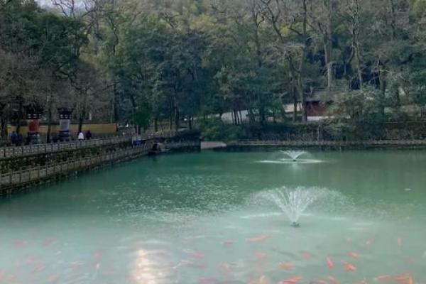 宁波天童寺附近算命准吗