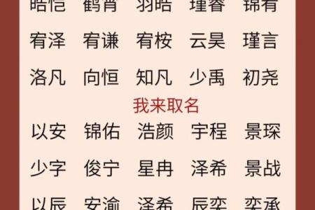 2019年5月23号子时出生的男孩起名时要注意什么姓名