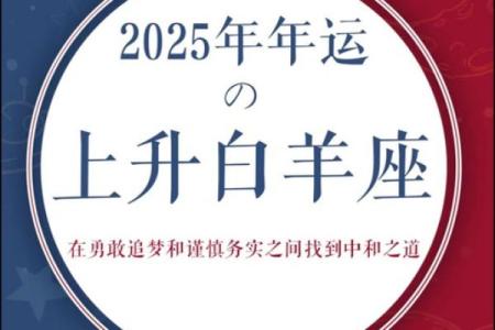 陶白白12星座运势最新