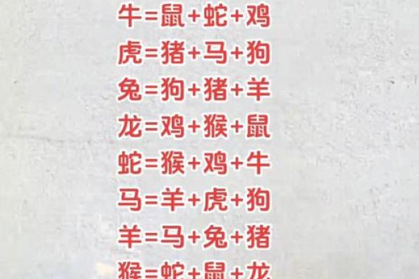 生肖蛇和生肖猪能够配对吗