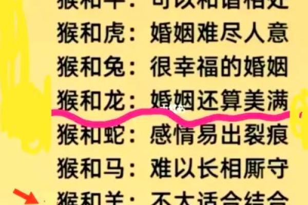 生肖配对猴和鸡相配吗