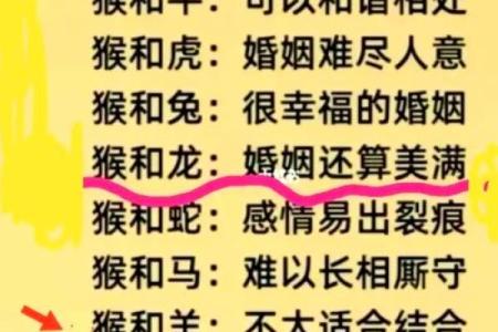 生肖配对猴和鸡相配吗