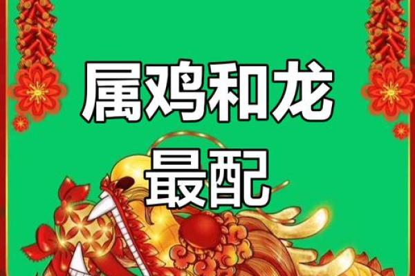 鸡跟什么生肖配对最好 生肖鸡最佳配对