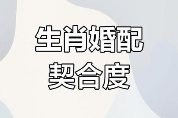 鸡跟什么生肖配对最好 生肖鸡最佳配对
