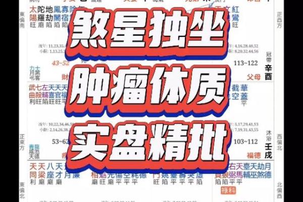 紫薇斗数免费批