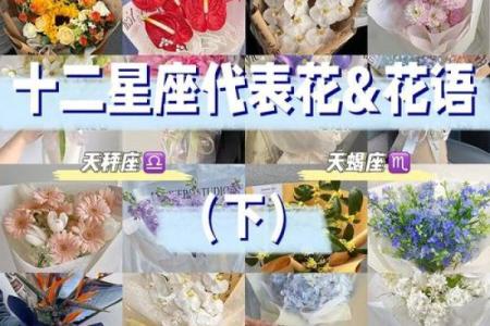 十二星座代表花