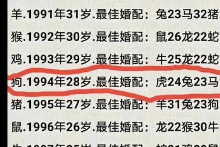 生肖属兔和属狗的合不合 相合配对指数