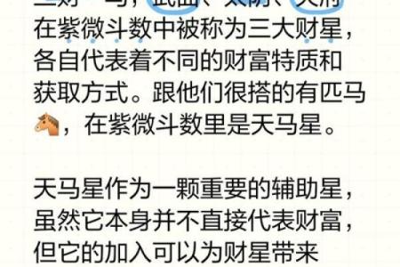 紫薇斗数大财星