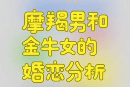 女生金牛座和什么座最配对 金牛座女和什么座最配对男
