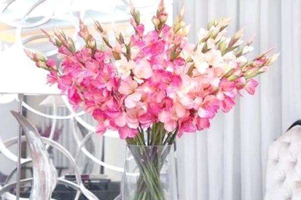 假花摆放在房屋里哪里不会影响到风水呢