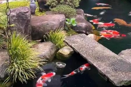 房子脚下建鱼池风水