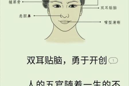 耳朵风水里代表什么