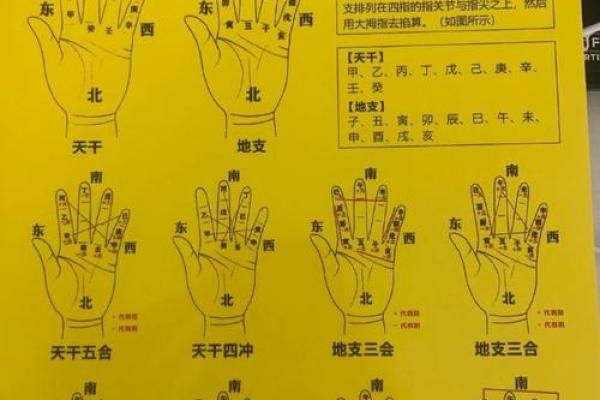 白鹤神数量指算命