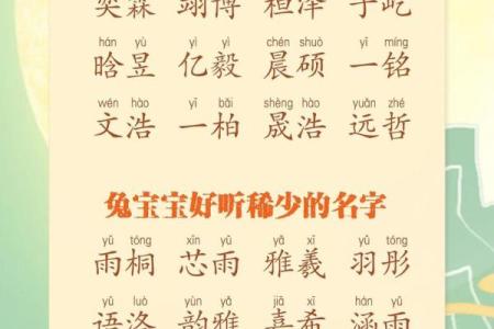 12月份出生的属兔男孩取哪些名字好姓名