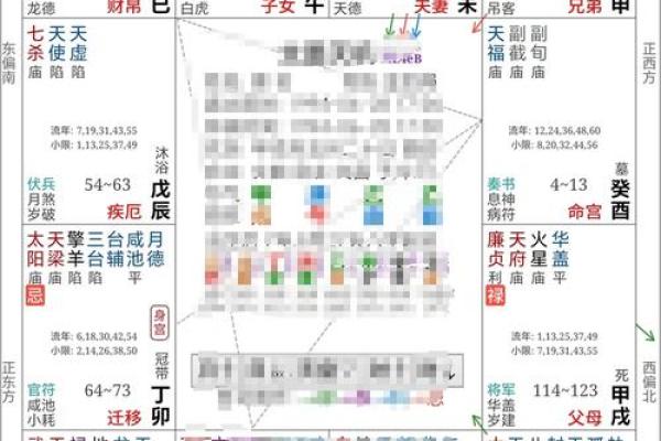 紫薇七杀文曲在疾厄宫