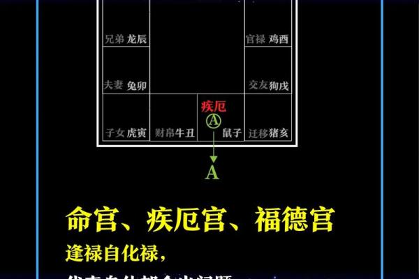 紫薇七杀文曲在疾厄宫