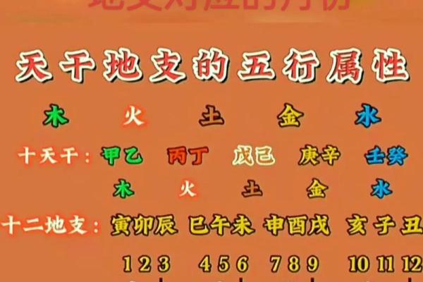 八字十二地支的五行属性