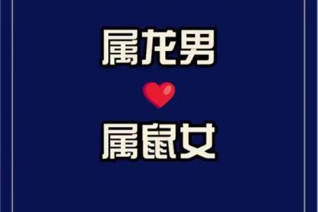 属龙和属鼠的八字合吗