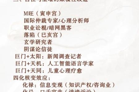 巨门在紫薇斗数中什么意思