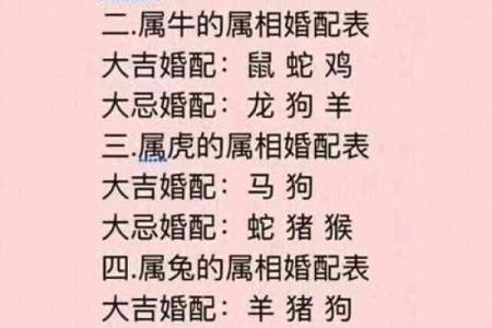 属相配对算命