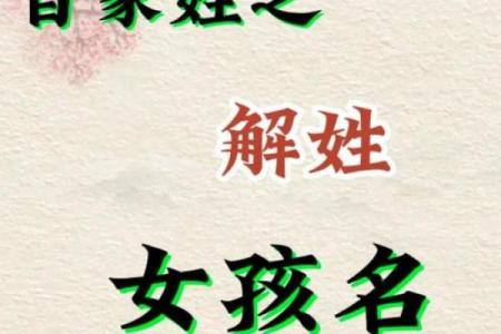 时姓女孩名字大全-时姓女孩起名字大全-时姓名字大全姓名