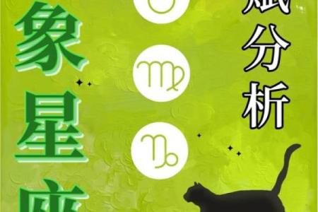 不认输，打击越多越有出息的星座