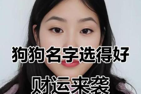 2018年生肖狗宝宝如何取名？狗宝宝取名有何禁忌？-华易网姓名