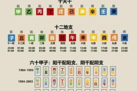 纳音五行紫微斗数哪个更准 纳音五行论命格高低？
