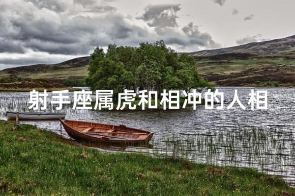 【属虎星座配对】最相配的星座是什么? 【属虎星座配对】最相配的星座是什么?