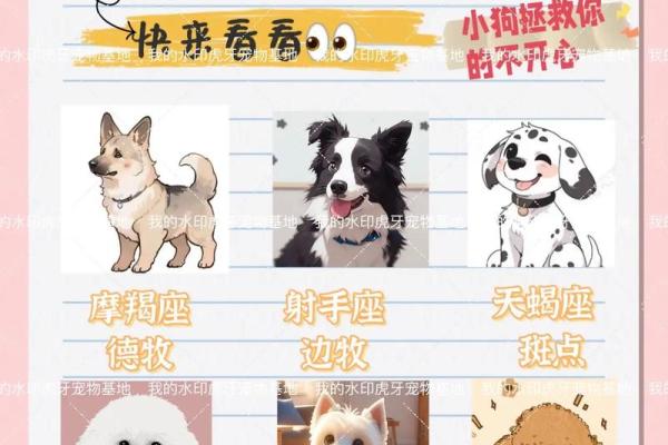 狗的十二星座性格特点大全