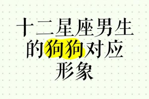 狗的十二星座性格特点大全