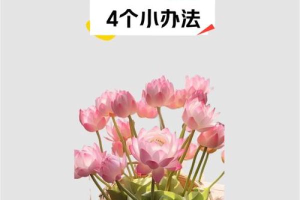 家居招财旺财的风水方法有哪些