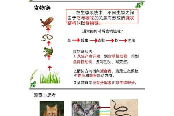 十二星座中的食物链有哪些 十二星座中的食物链有哪些