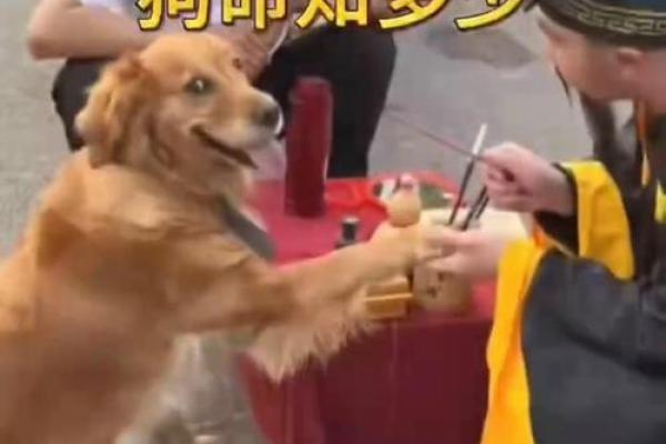 算命可以去地里算吗 算命可以去地里算吗