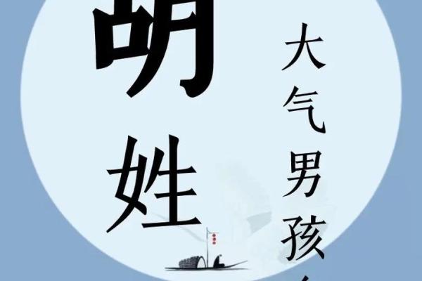 2019年出生的姓胡男孩如何起名，宜用什么字姓名