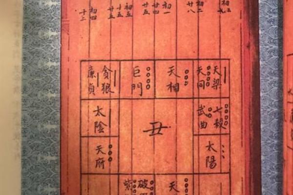 紫薇斗数天府男