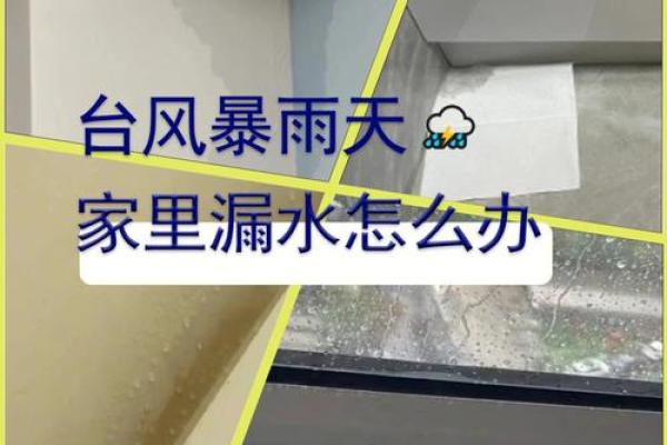 住宅风水知识教你如何化解家里漏水破财