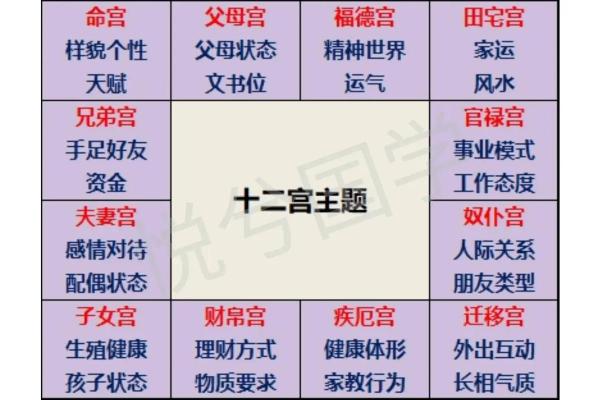 紫薇斗数排宫