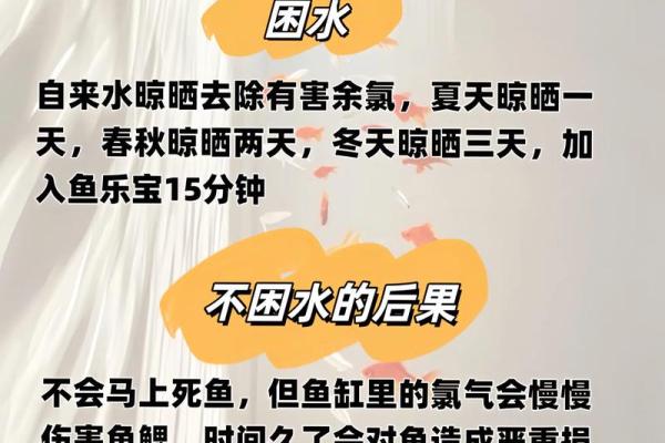 养鱼养几条好-千万注意条数对风水也有大影响
