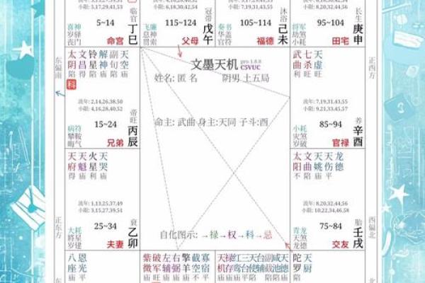 紫薇斗数解读，廉贞贪狼性格解读