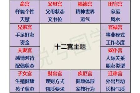 紫薇斗数排宫